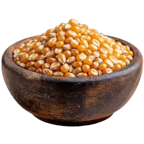 Maíz para Cotufa